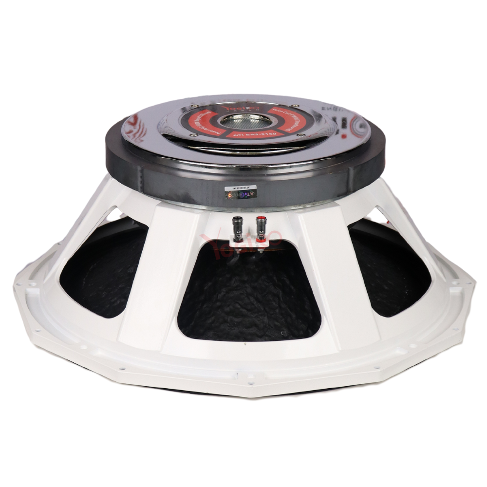 Ferrite DJ Speaker 21 Inch 3000 Watt Model ATI ES2 2150