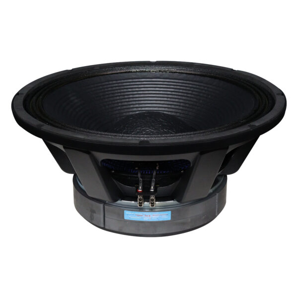 Ferrite DJ Speaker 21 Inch 3500 Watt Model YJY2195H-4L - Yogi Pro